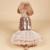 PawDiva Sequin Dress