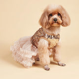 PawDiva Sequin Dress