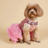 PawDiva Sequin Dress