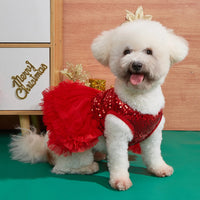 PawDiva Sequin Dress