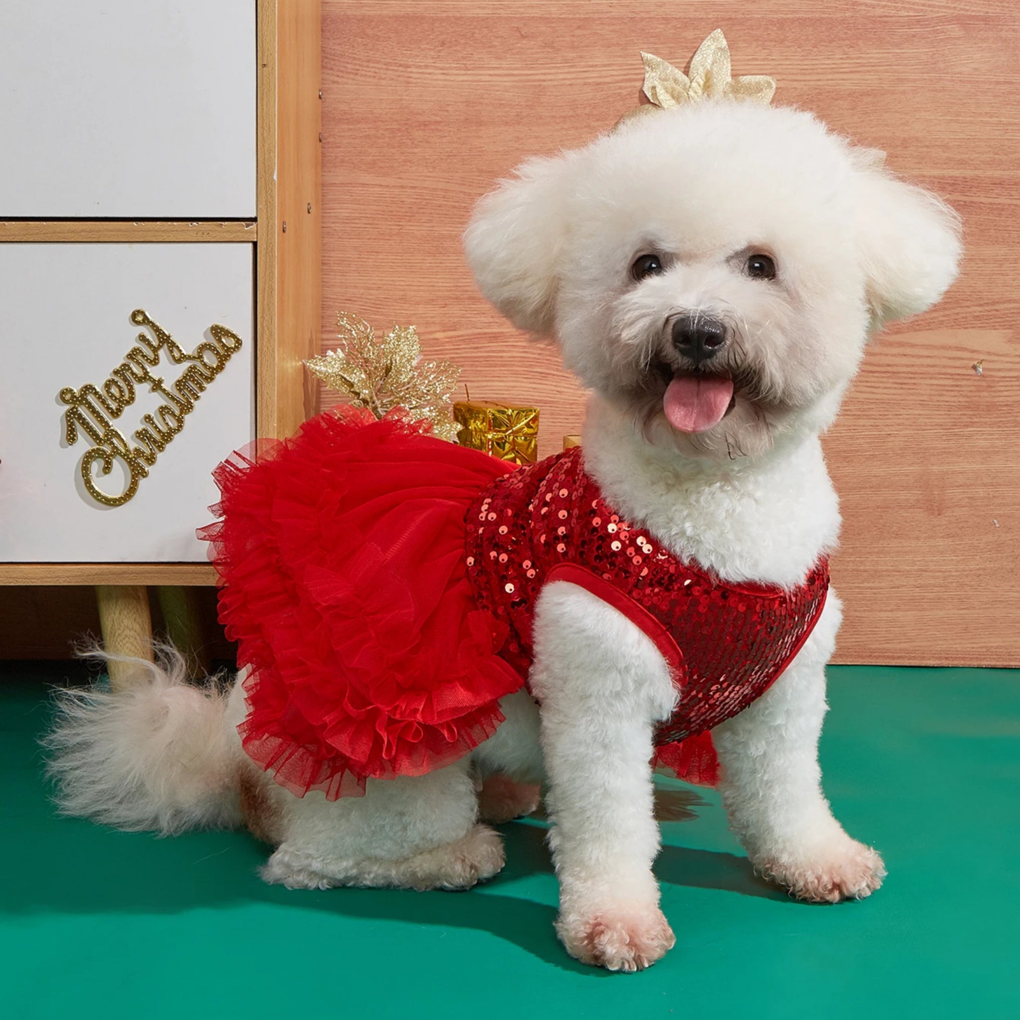 PawDiva Sequin Dress