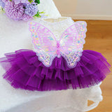 Butterfly Tutu Dress