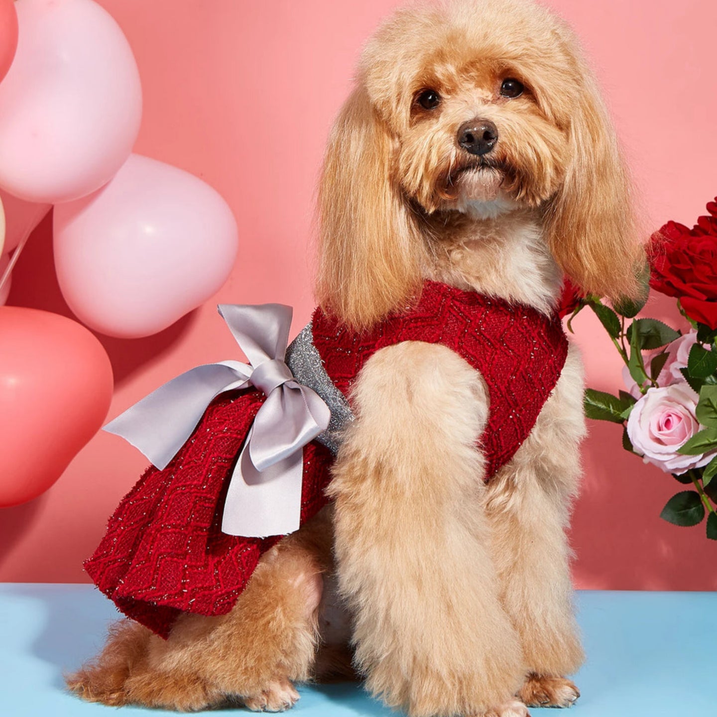 Rosette Ruby Dress