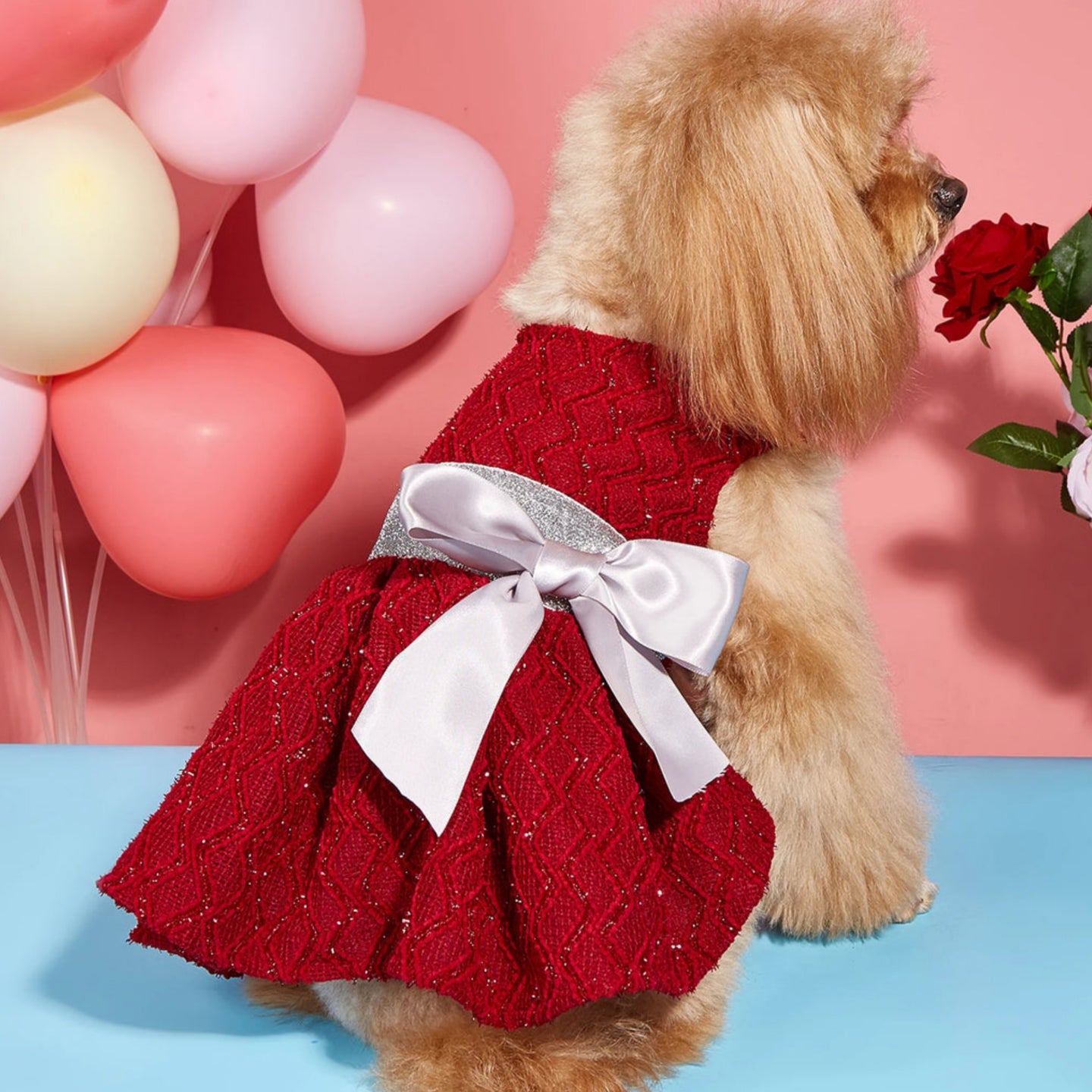 Rosette Ruby Dress