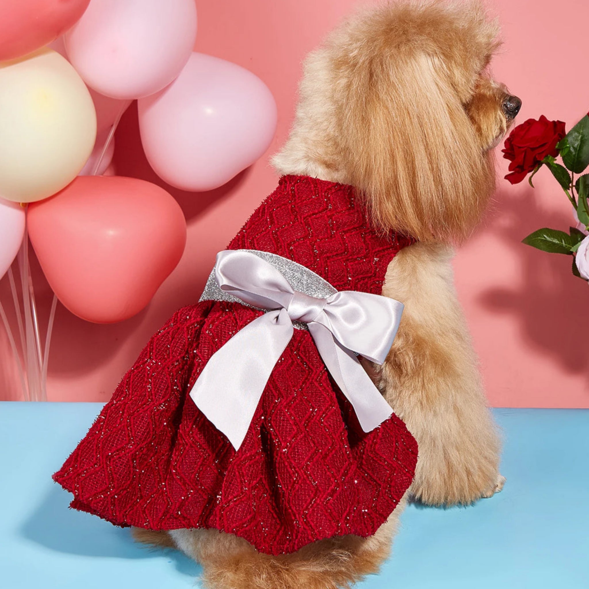 Rosette Ruby Dress
