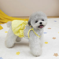 Sunshine Princess Summer Dress