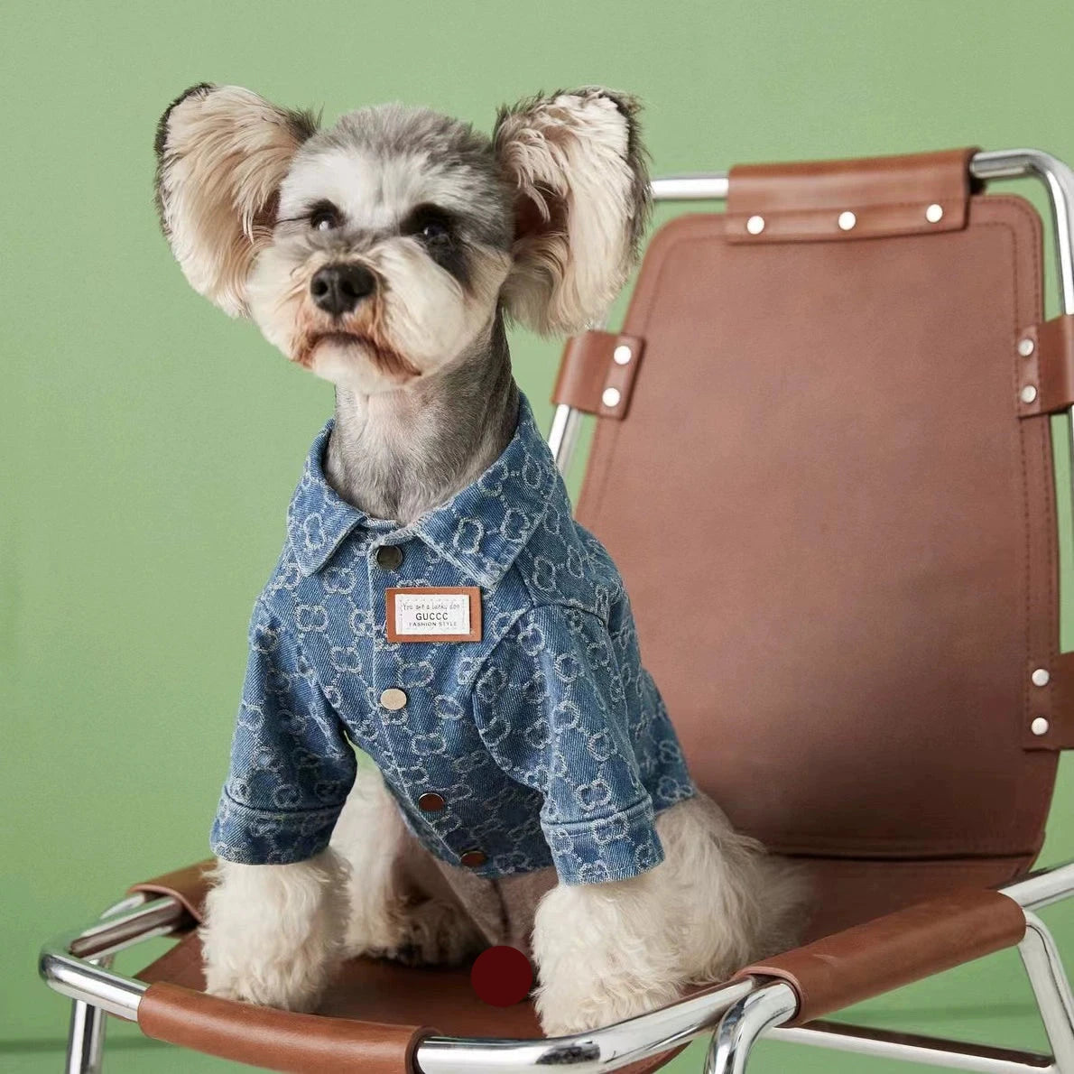 Gucchi Denim Jacket
