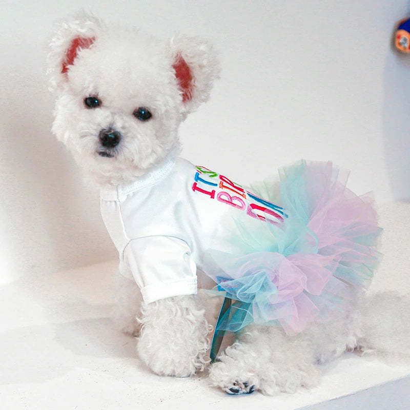 It's My Birthday Tutu Dress