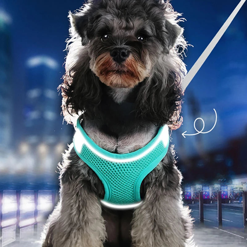 Ultra-Light Reflective Harness and Leash