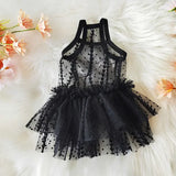 Lace Mesh Summer Slip Dress