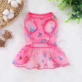 Butterfly Mesh Dress