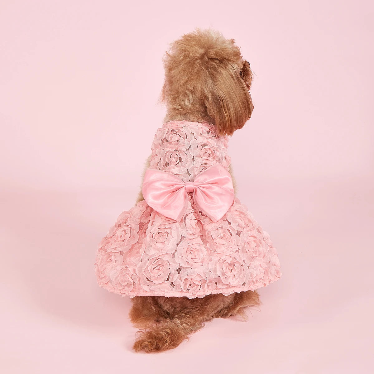 PawFlower Embroidered Dress