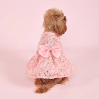 PawFlower Embroidered Dress