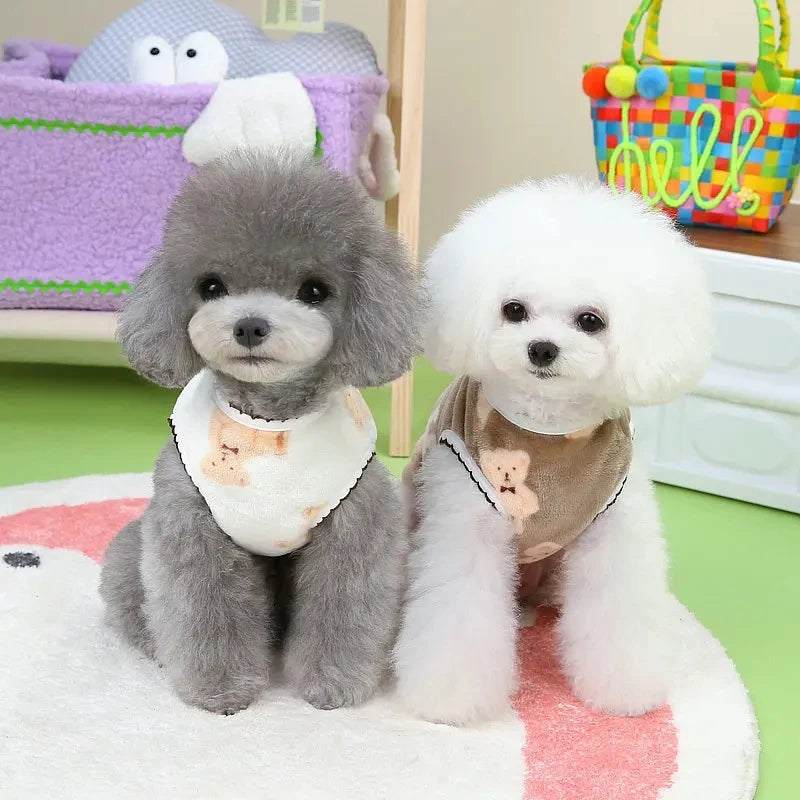 PawTeddy Sweater