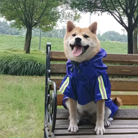 PawActive Reflective Hooded Raincoat