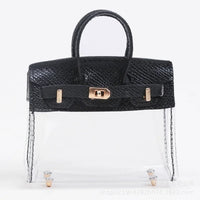 Mini Barkin Transparant Purse