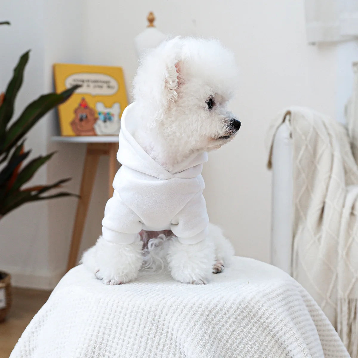 Mini Boss Hoodie