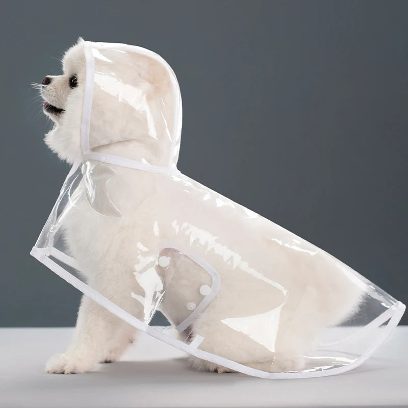 Transparent Hooded Raincoat