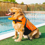 Wings Life Jacket