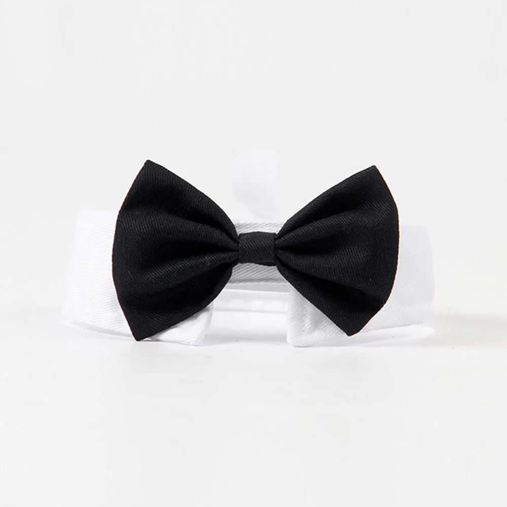 Bowtie Collar