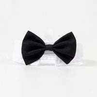 Bowtie Collar