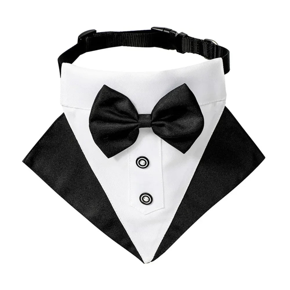 Tuxedo Bandana Collar