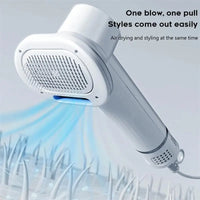 Smart 2-in-1 Pet Hair Dryer & Grooming Comb