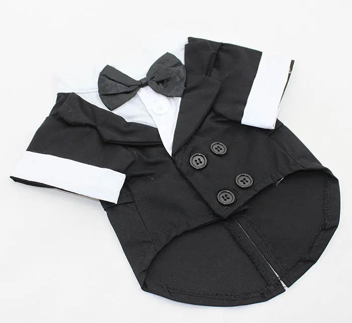 Black Bow Suit