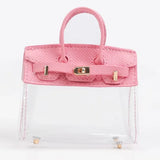 Mini Barkin Transparant Purse