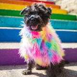 PawDiva Fur Sweater