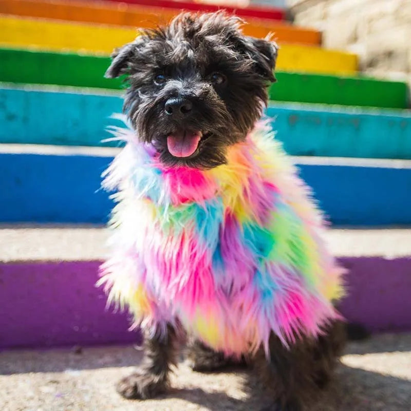 PawDiva Fur Sweater
