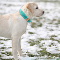 Fur Luxe Personalized Collar