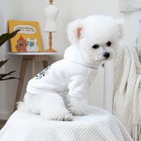 Mini Boss Hoodie
