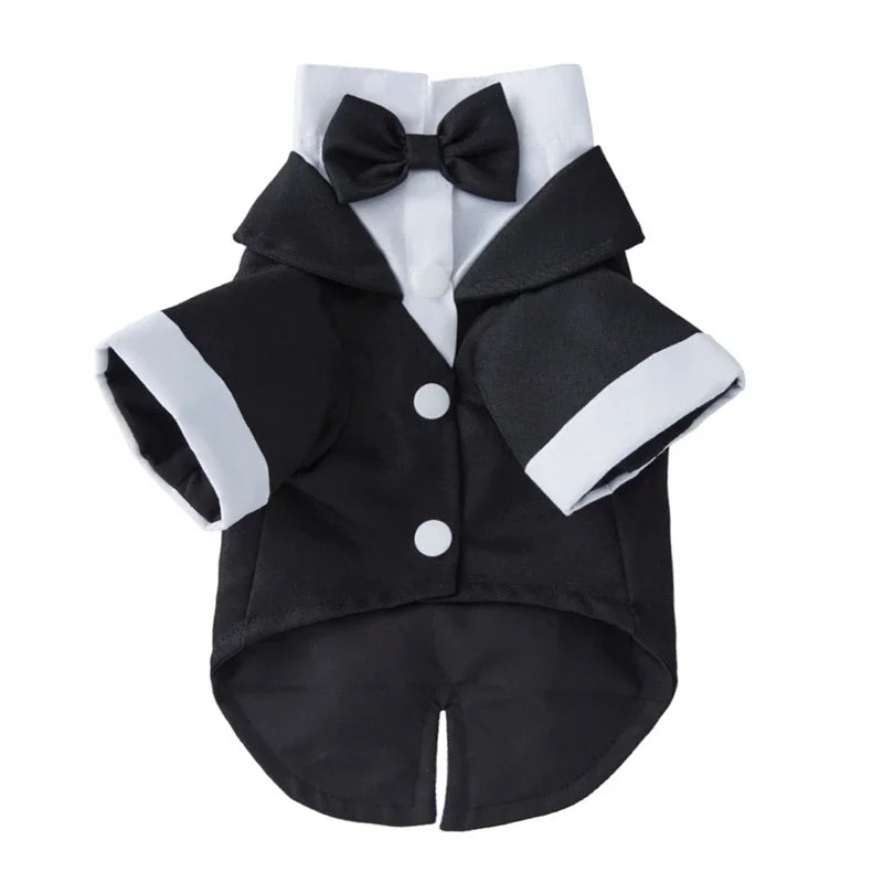 PawLuxe Suit