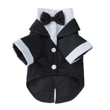 PawLuxe Suit