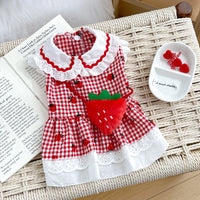 Strawberry Dress