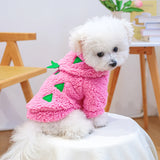 Dragon Fruit Flannel Hoodie