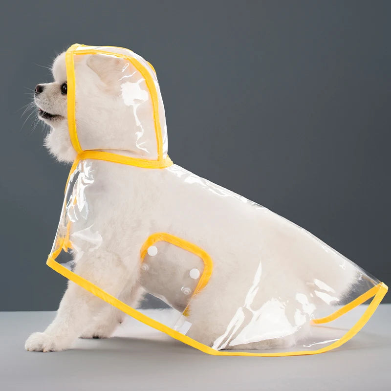 Transparent Hooded Raincoat