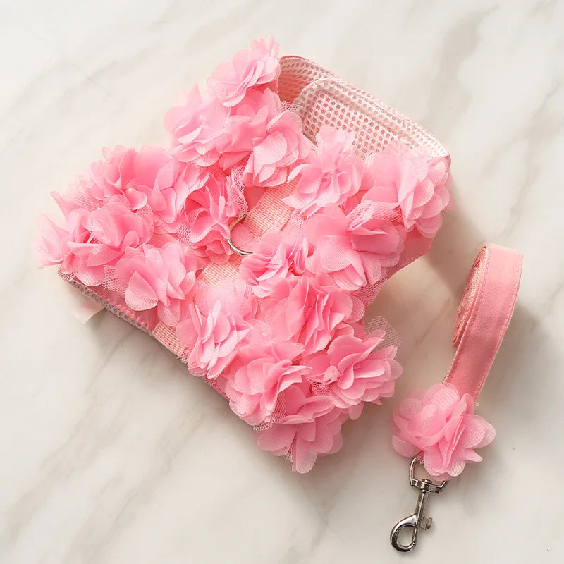 Blossom Harness and Leash