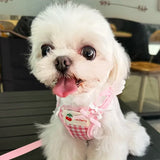 Breathable Strawberry Pattern Cat Dog Harness Collar Escape Pet Wing Harness Leash Set Kitten Puppy Chihuahua Cute Chest Vest