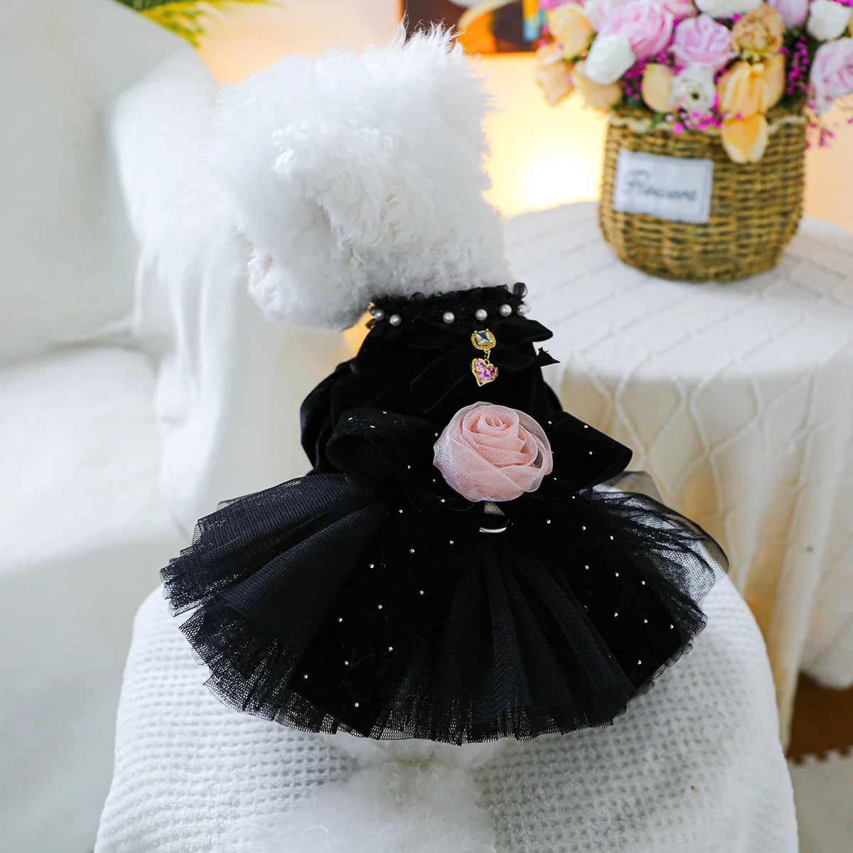 Midnight Rose Dress