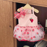 Strawberry Mesh Dress