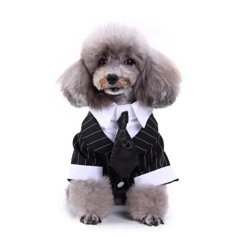 Tie Suit