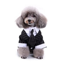 Tie Suit