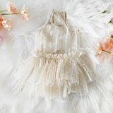 Lace Mesh Summer Slip Dress