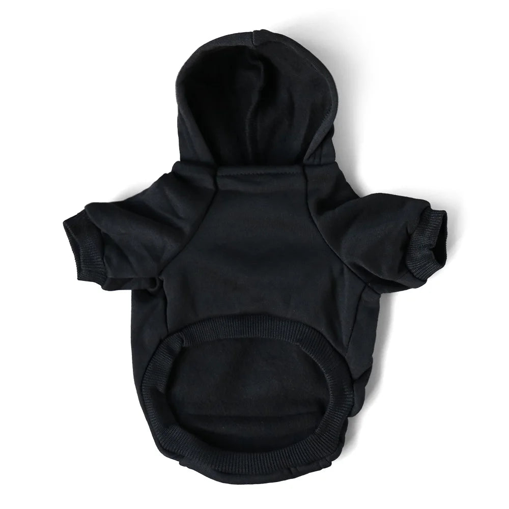 Pucci Hoodie