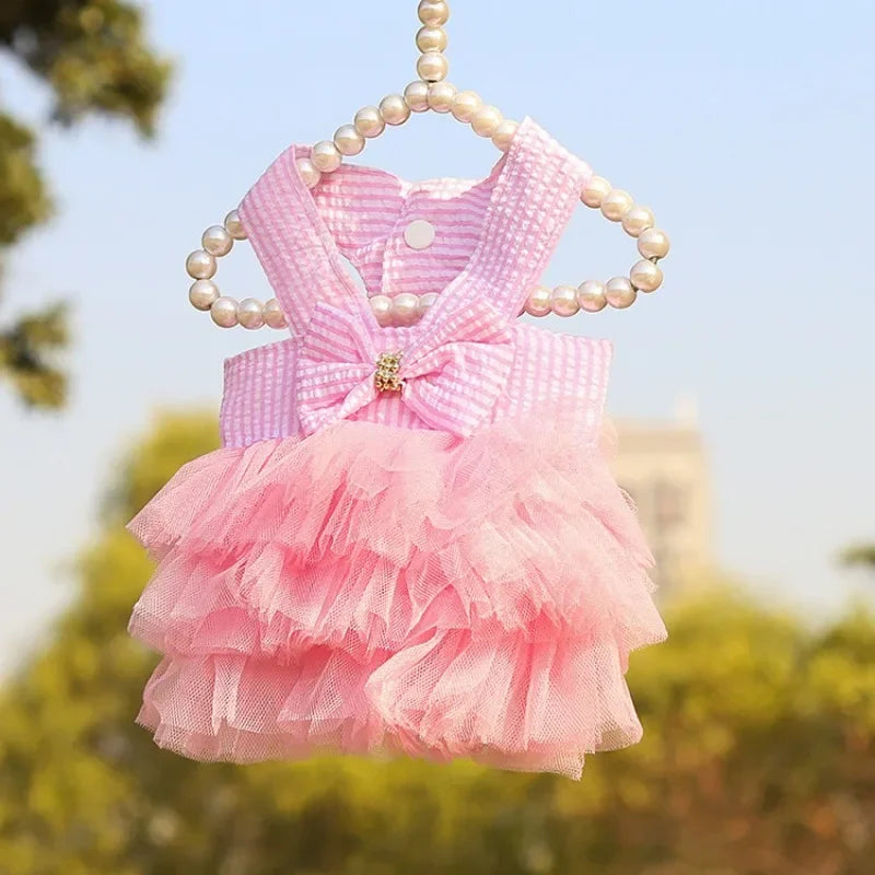 Summer Lace Dress