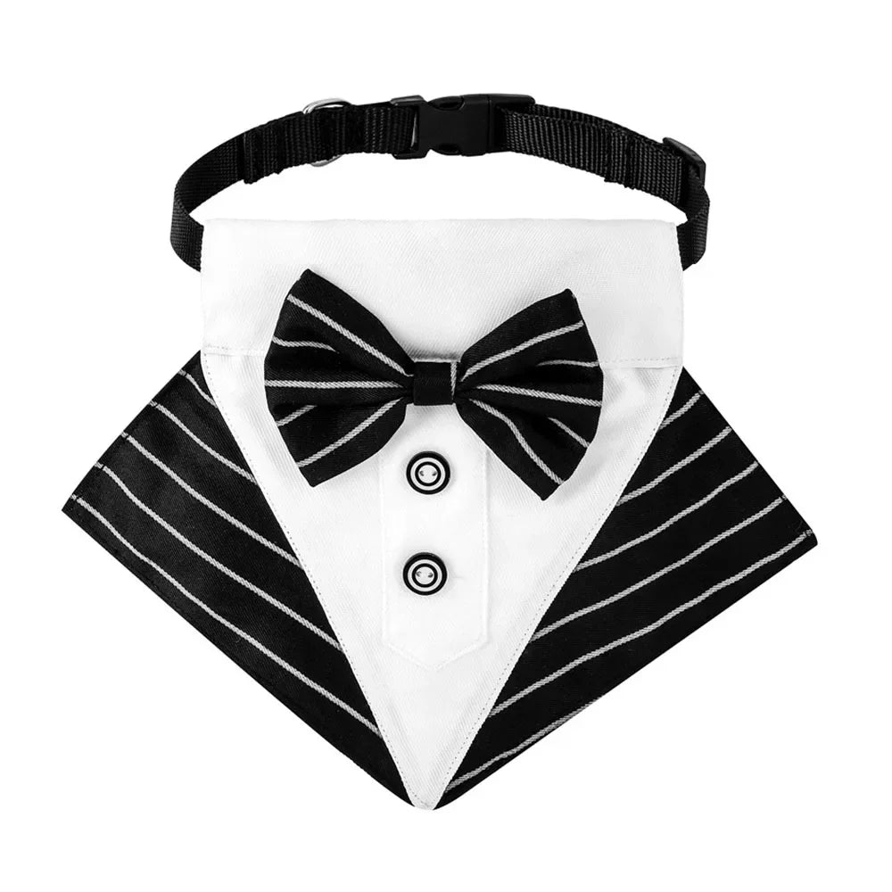 Tuxedo Bandana Collar