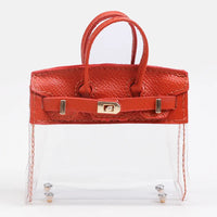 Mini Barkin Transparant Purse