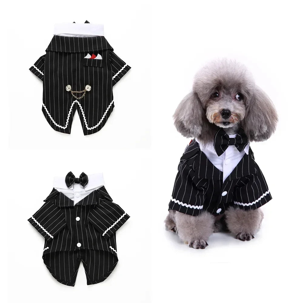 Tie Suit